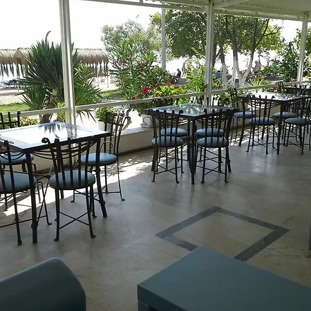 Eker Bermuda