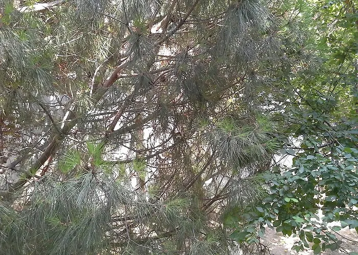 Szálloda Eker Bermuda